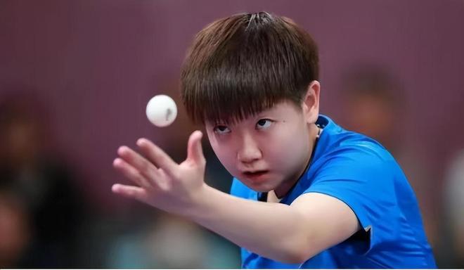 法国乒乓球 法国乒乓球